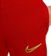 Nike Spodnie dla dzieci Nike DF Academy 21 Pant KPZ czerwone CW6124 687 S 2
