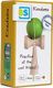 BS Toys Kendama - Gra zręcznościowa 5