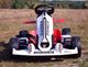 Import SUPER-TOYS SZYBKI GOKART FANCY NA AKUMULATOR 12V, REGULOWANA - ROZSUWANA RAMA, SUPER ZABAWABDQ-8 2