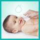 Pampers  Chusteczki nawilżane Coconut Pure (18X42szt) 6