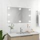 Lustro vidaXL 100x60cm srebrny (3078645) 1