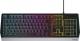 Klawiatura Genesis Rhod 300 RGB  (NKG-1857) 1