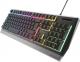 Klawiatura Genesis Rhod 300 RGB  (NKG-1857) 6