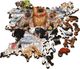 Trefl Puzzle drewniane 1000 Psia przyjaźń TREFL 2