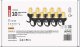 Emos Łańcuch Party 10x 10 LED przeźroczyste 4,5m vintage P44 DCPV01 1