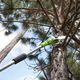 Piła łańcuchowa Greenworks G24PS20 24 V 20 cm 1