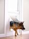 PET SAFE PetSafe Drzwiczki dla zwierząt 660, aluminium, 1