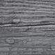 vidaXL Samoprzylepne panele podłogowe, PVC, 5,21 m, 2 mm, szare 5