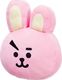BT21 Line Friends BT21 - Pluszowa poduszka 37 cm COOKY 1