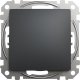 Schneider Electric Sedna Design, Przycisk 1-biegunowy, czarny antracyt 1