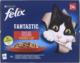 Nestle FANTASTIC WIEJSKIE SMAKI w galaretce (kura, wołowina, królik, jagnięcina) saszetki 24x85g 2