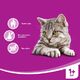 Whiskas WHISKAS Dentabits 40g - dentystyczny przysmak dla kota 2