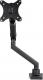 StarTech Uchwyt biurkowy na monitory 17" - 34" (ARMSLIM2USB3) 3