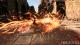 Forspoken PS5 5