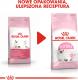 Royal Canin Kitten karma sucha dla kociąt od 4 do 12 miesiąca życia 4kg 5