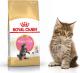 Royal Canin Maine Coon Kitten karma sucha dla kociąt, do 15 miesiąca, rasy maine coon 2kg 2