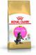 Royal Canin Maine Coon Kitten karma sucha dla kociąt, do 15 miesiąca, rasy maine coon 2kg 1