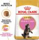 Royal Canin Maine Coon Kitten karma sucha dla kociąt, do 15 miesiąca, rasy maine coon 2kg 3