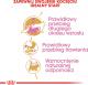 Royal Canin Maine Coon Kitten karma sucha dla kociąt, do 15 miesiąca, rasy maine coon 2kg 5