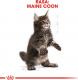 Royal Canin Maine Coon Kitten karma sucha dla kociąt, do 15 miesiąca, rasy maine coon 2kg 7
