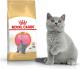 Royal Canin British Shorthair Kitten karma sucha dla kociąt, do 12 miesiąca, rasy brytyjski krótkowłosy 2kg 1