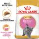 Royal Canin British Shorthair Kitten karma sucha dla kociąt, do 12 miesiąca, rasy brytyjski krótkowłosy 2kg 2