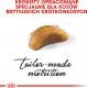 Royal Canin British Shorthair Kitten karma sucha dla kociąt, do 12 miesiąca, rasy brytyjski krótkowłosy 2kg 5