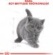 Royal Canin British Shorthair Kitten karma sucha dla kociąt, do 12 miesiąca, rasy brytyjski krótkowłosy 2kg 6