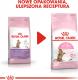 Royal Canin Kitten Sterilised karma sucha dla kociąt od 4 do 12 miesiąca życia, sterylizowanych 2 kg 7