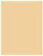 Bioderma Sensibio AR BB Cream SPF30 Krem do twarzy BB do skóry wrażliwej 40ml 1