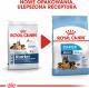 Royal Canin SHN Maxi Starter M&B 15 kg 4