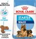 Royal Canin SHN Maxi Starter M&B 15 kg 8