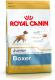 Royal Canin Boxer Junior 12 kg 1