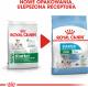 Royal Canin SHN Mini Starter M&B 1 kg 6