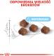 Royal Canin Mother & Babycat 36 0,4 kg 4