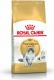Royal Canin Norwegian Adult 0.4 kg 1