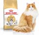 Royal Canin Norwegian Adult 0.4 kg 1