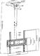 Maclean Uchwyt sufitowy MC-943 32'' - 50'' 8