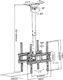 Maclean Uchwyt sufitowy MC-944 32'' - 50'' 8