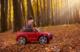 Toyz POJAZD AKUMULATOROWY AUDI RS Q8 RED 12
