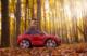 Toyz POJAZD AKUMULATOROWY AUDI RS Q8 RED 13