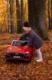 Toyz POJAZD AKUMULATOROWY AUDI RS Q8 RED 4