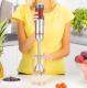 Blender Zelmer ZHB4650 3