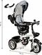 Ecotoys Rowerek Trójkołowy Obracany Szary 10