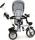 Ecotoys Rowerek Trójkołowy Obracany Szary 2