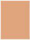 L’Oreal Paris True Match Super Blendable Foundation C7 Rose Amber 30ml 2