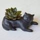 sadzarka Cat 14,5 x 6,3 cm kamień czarny 2