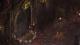 Torment: Tides of Numenera Day One Xbox One 12