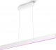 Lampa wisząca Philips Philips Hue Ensis white 2x39W 24V 1