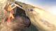 The Crew Ultimate Edition PS4 7
